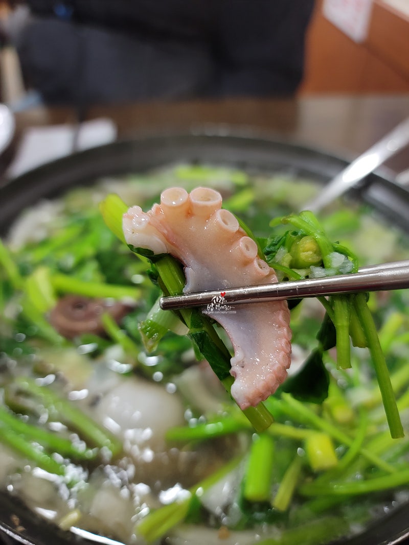 맛있는놈들 대꾸미 샤브샤브 산주꾸미 철판볶음 마포공덕동 맛있는놈들 원기회복 맛있는놈들 장어구이 산삼장어 숯불 장어 대파구이 용인 장어집 맛있는놈들 371회 10