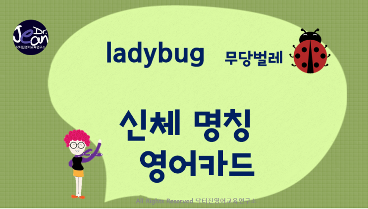 ladybug 무당벌레 영어 카드