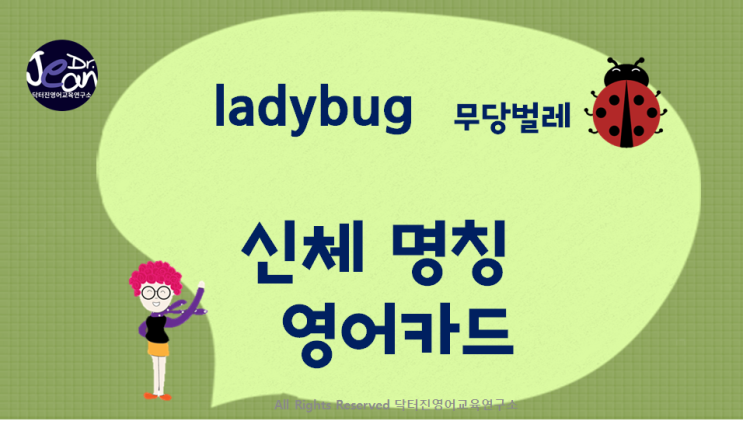  ladybug 무당벌레 영어 카드