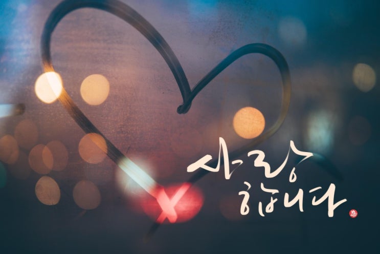  살며 사랑하며 배우며 (사랑학 강의) 독서후기 리뷰 기본정보
