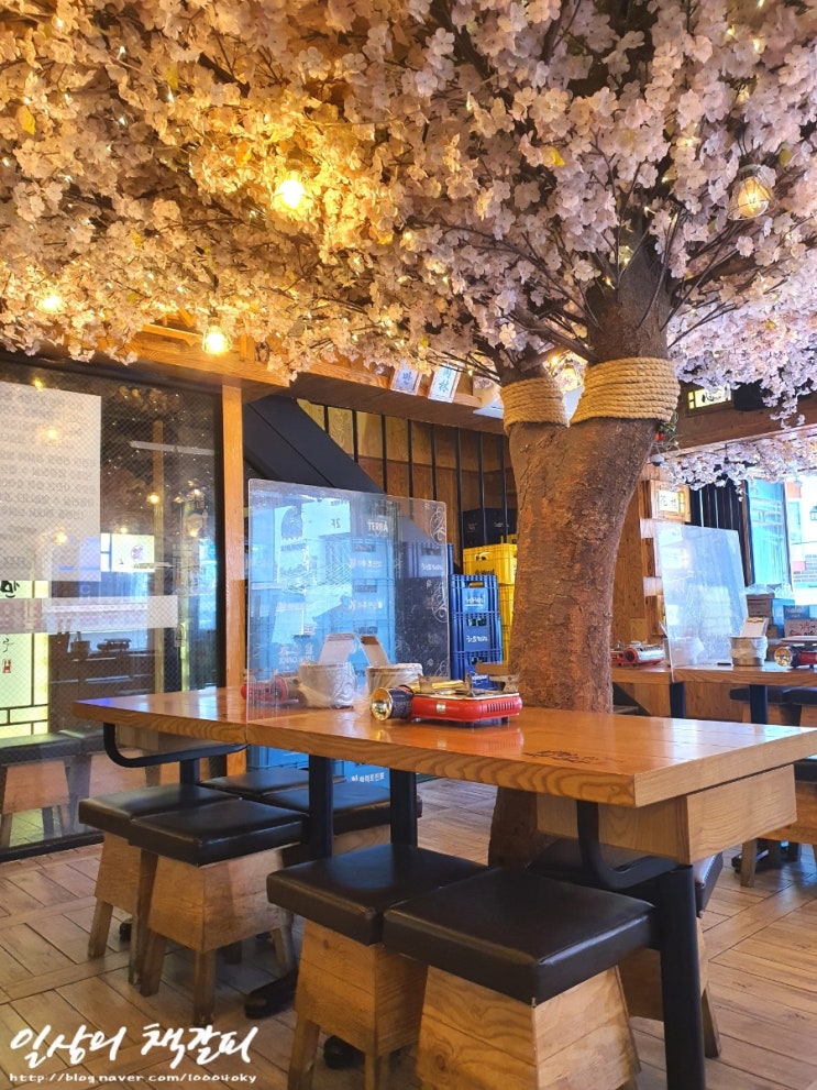 수원역 분위기 좋은 술집! 사시사철 벚꽃이 한가득 만개한 &lt;만만코코로 수원역점&gt; 내돈내산 후기 :)