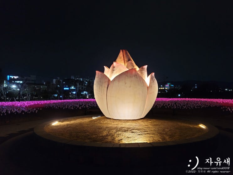  경주 빛누리정원 무료주차장 위치와 경주 빛축제 야경명소