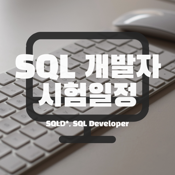 [SQLD] SQL 개발자 자격증 정의, 2022년 시험일정