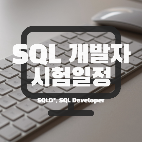  [SQLD] SQL 개발자 자격증 정의, 2022년 시험일정