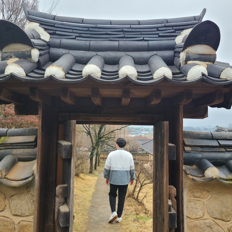  예산 추사고택 수선화 3월26일(토) 방문
