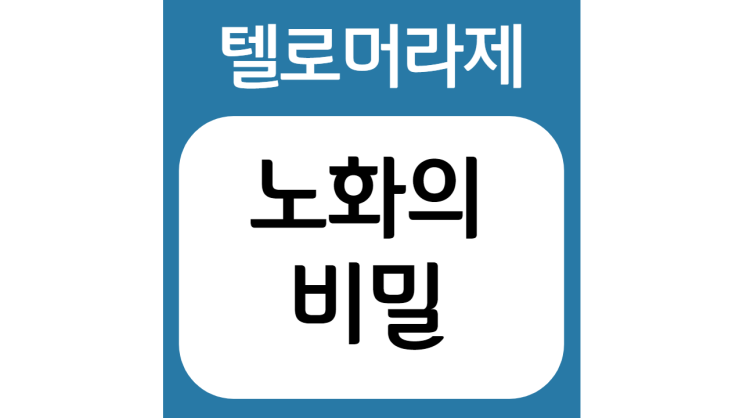  노화의 비밀 '텔로미어'란 무엇일까?