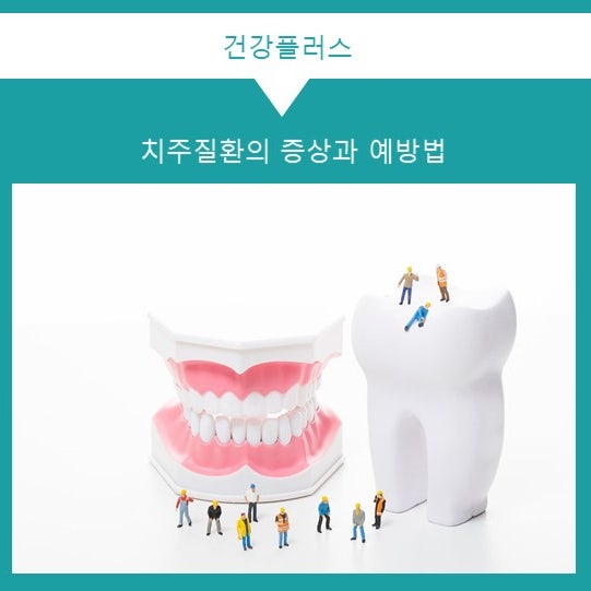 치주염 증상 및 탁월한 예방 6