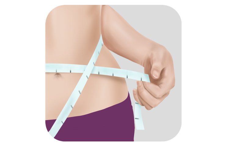 대사증후군 원인, 기전, 비만과의 관계, 진단, 치료 대사증후군 원인, 기전, 비만과의 관계, 진단, 치료