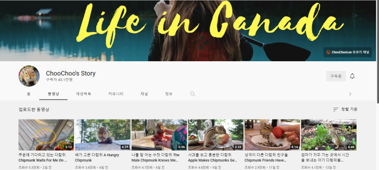  ChooChoo's Story (야생다람쥐와의 친밀한 교감)
