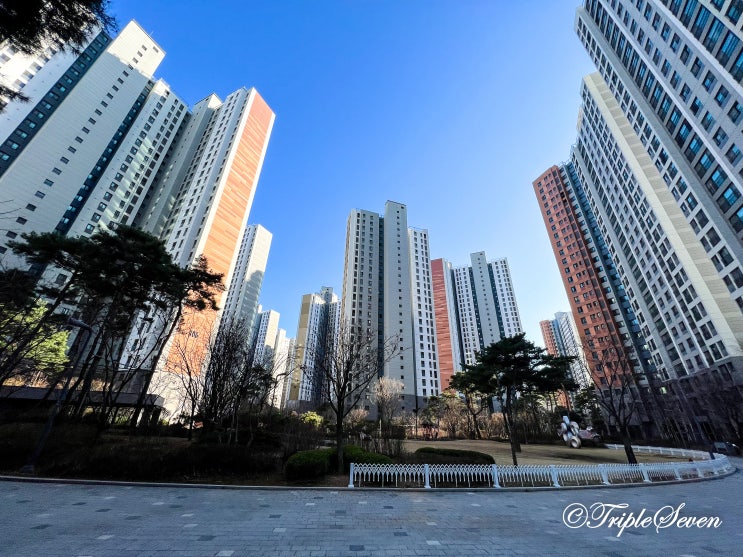  [후기] 김포한강신도시 임장 후기! 라베니체를 중심으로! (쌍용 예가 아파트, e편한세상 캐널시티, 한강센트럴자이 1단지!