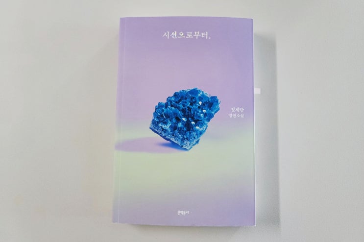  제사, 하와이, 정세랑 작가 [시선으로부터] 짧고 좋은 공감 글귀