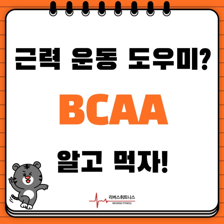  하남 헬스장 [리버스휘트니스] 운동할 때 마시면 도움 되는 이것?