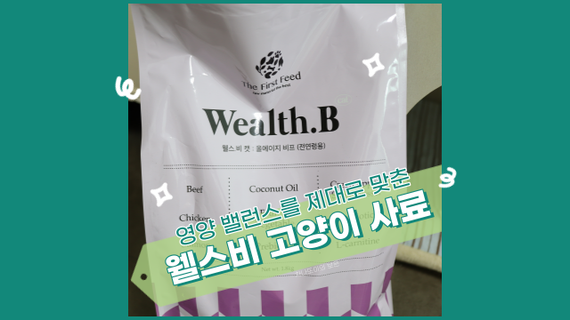  밸런스 좋은 고양이 사료, 웰스비캣 올에이지 비프