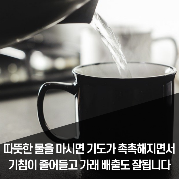  오미크론 해제, 2주 후 기침이 한 번씩 나와서 그 이유와 기침 진정시키는 방법 알아봅니다