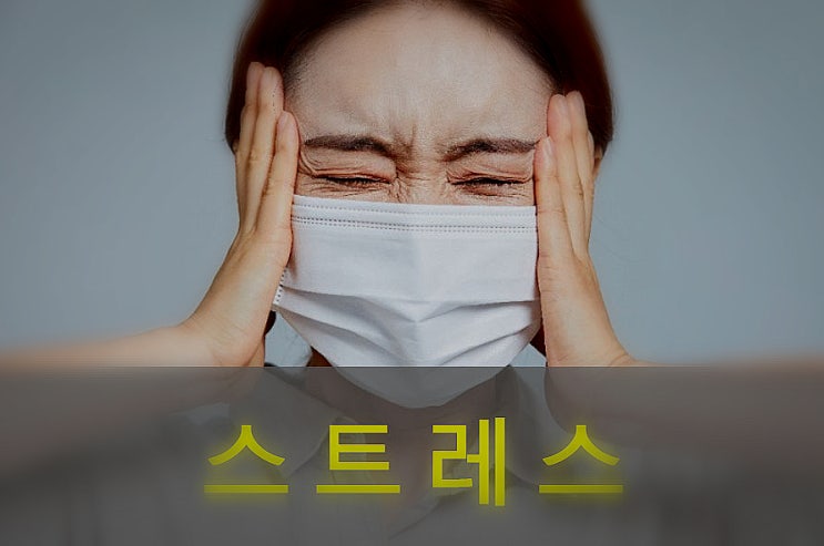  스트레스 증상, 호르몬, 해소법, 좋은 음식