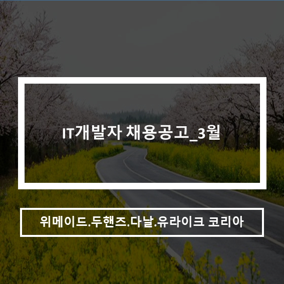  IT개발자 채용공고_3월