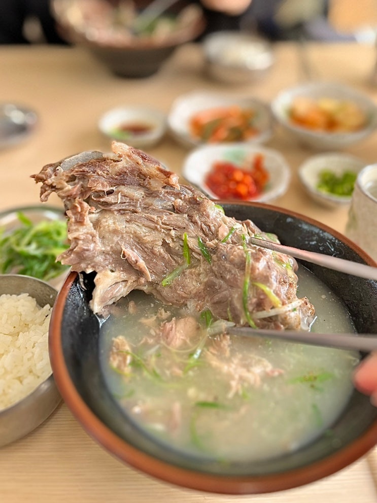  제주 접짝뼈국 닥그네할망 해장되고 맛있네