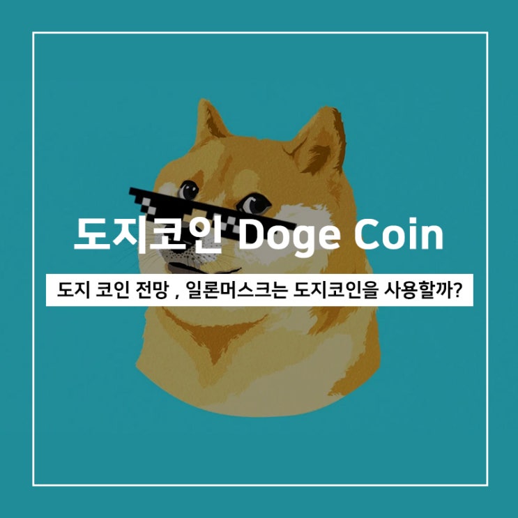 도지코인 전망, 일론머스크는 도지코인을 사용할까?