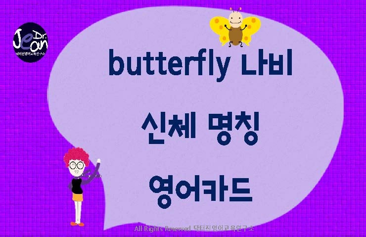  butterfly 영어 카드
