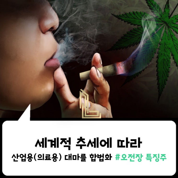  [위키종목] 세계적 추세에 따라… 산업용(의료용) 대마를 합법화