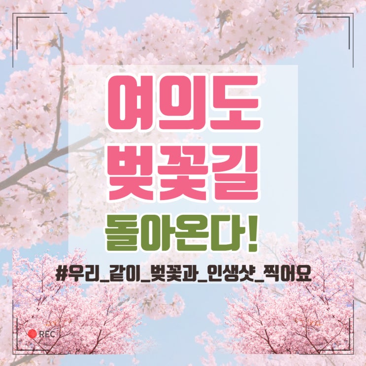  2022년 여의도 벚꽃길 명소 윤중로 4월 2일부터 개방