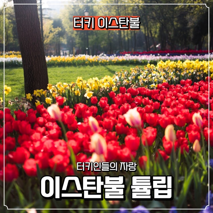  [터키] 이스탄불 튤립 여행기