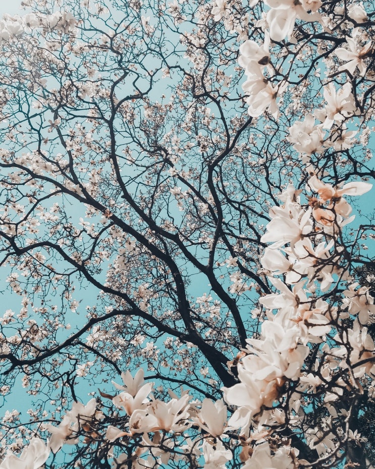  [병간호]  아내 앞에선 좀 망가져도 됩니다