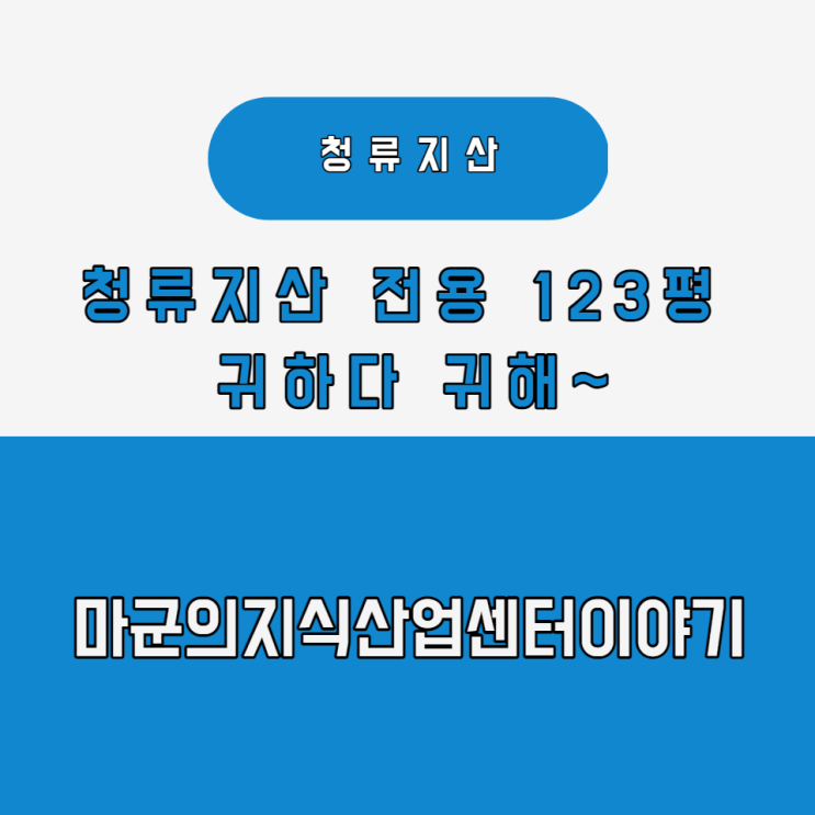 청류지산 전용 123평(Feat.GS편의점)