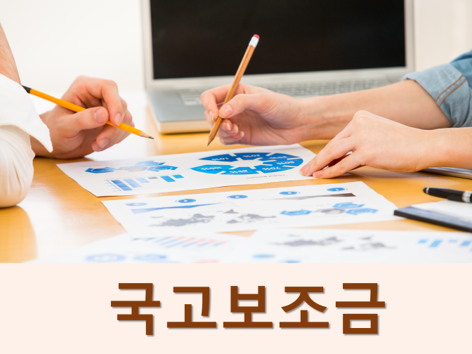  국고보조금 정산보고서(감사)