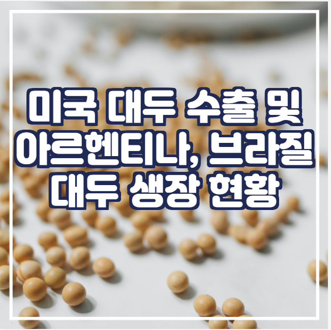  [국제농산물] 미국 대두 수출(중국)량 및 아르헨티나, 브라질 대두 생장 현황