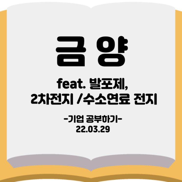 [기업분석] 금양 feat. 발포제, 2차전지, 수소연료전지