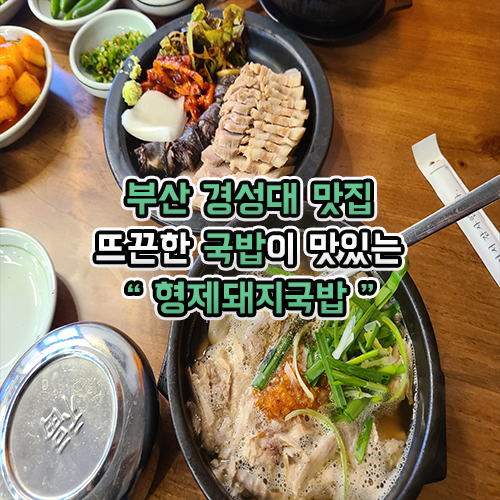 부산 경성대 맛집 형제돼지국밥
