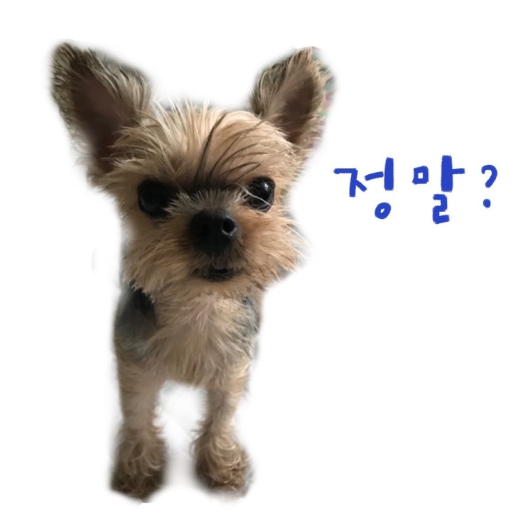  쉬는 시간에 한 일 -두 가지