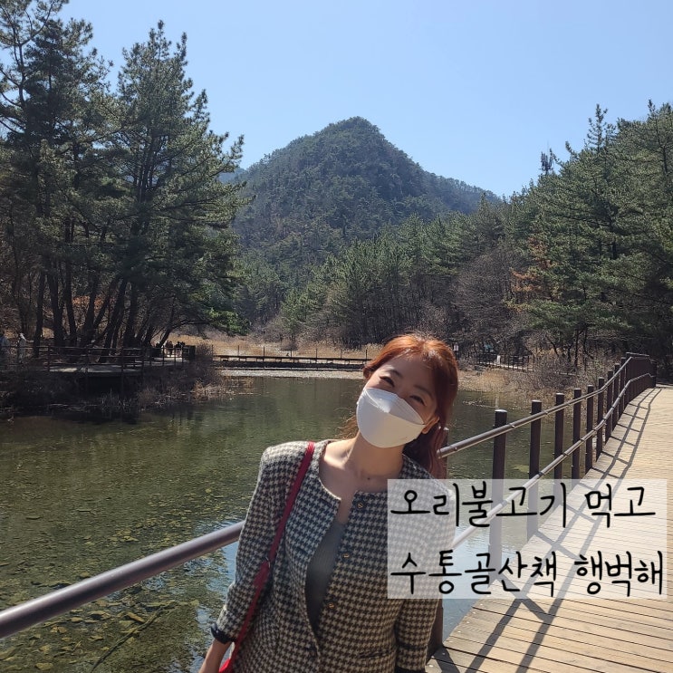  수통골맛집 쌈싸먹기 좋은 수통골오리불고기전문점에서 쌈 싸먹고 수통골산책