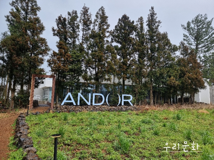 비오는 제주도도 좋아 구좌읍 카페 안도르 비오는 제주도도 좋아 구좌읍 카페 안도르