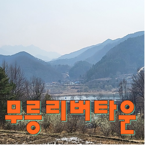  세종시 인접마을,금강뷰가 펼쳐지는 무릉리버타운에서