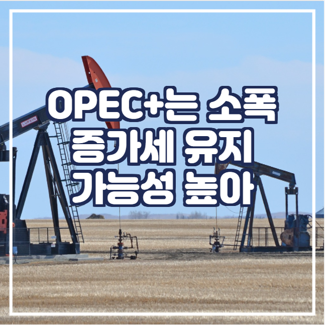  [국제유가] OPEC+는 우크라이나 사태로 인한 유가 급등에도 소폭 증가세 유지 가능성 높아