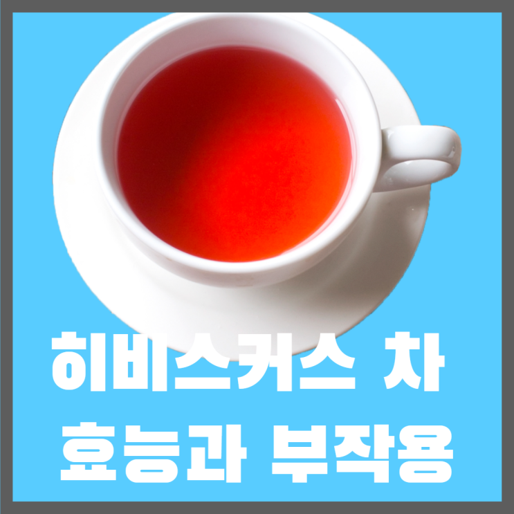  다이어트에 효과적인 히비스커스 차의 효능과 부작용에 대해 알아보자