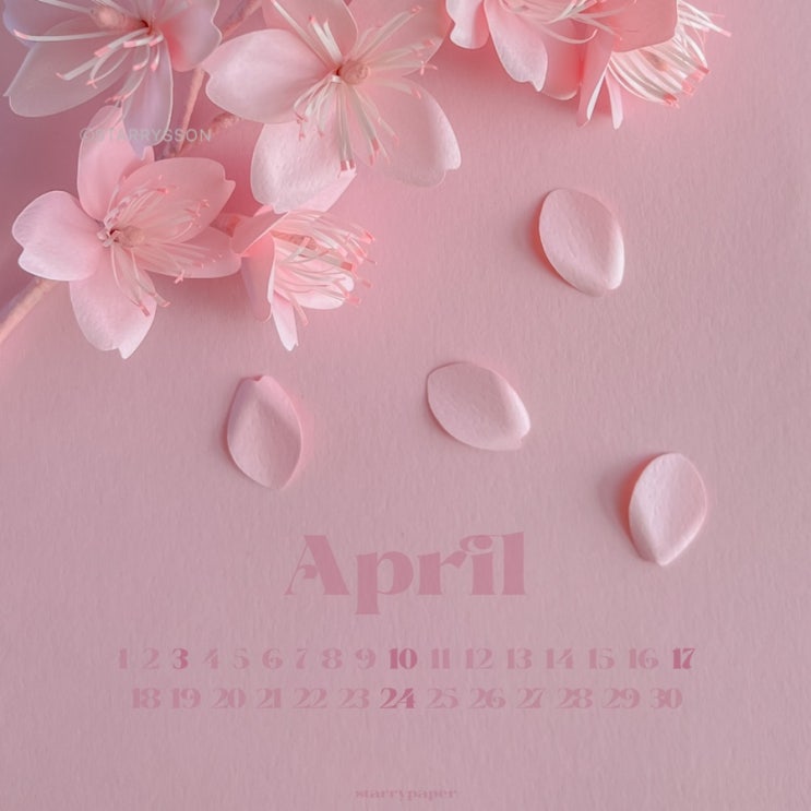 페이퍼플라워 분홍색 4월 달력 배경화면 공유