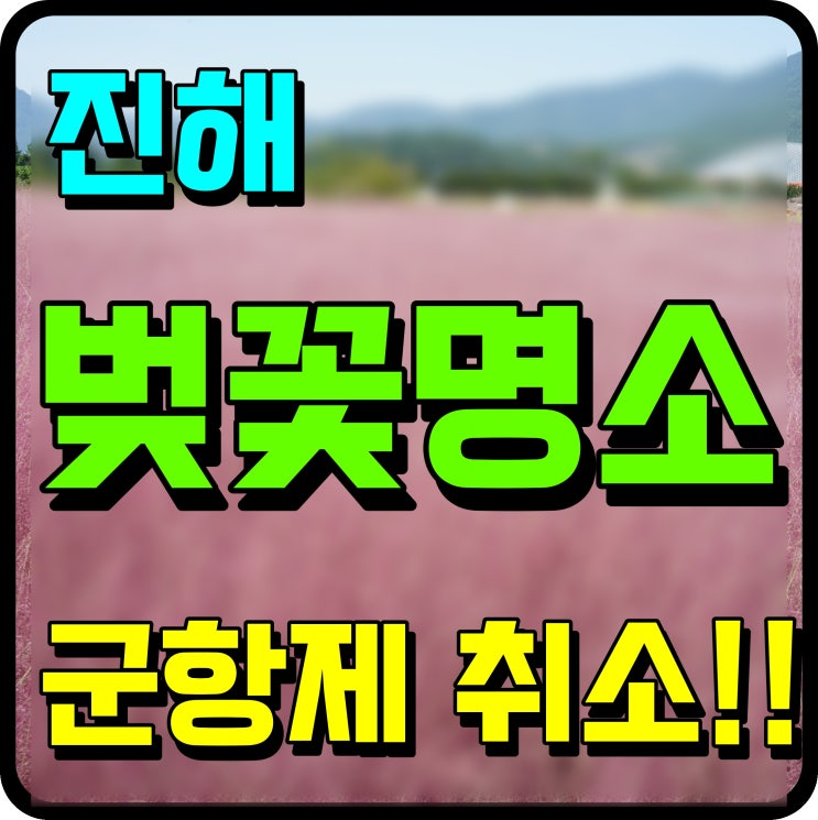  진해 군항제 벚꽃 명소 개화 정보 축제는 취소 되쓰요