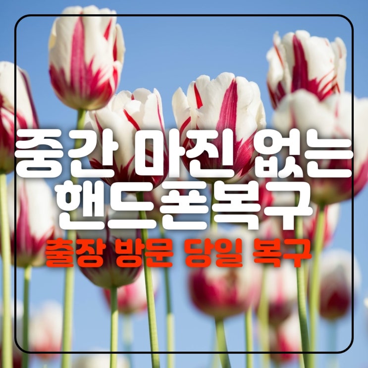  휴대폰복구 카카오톡 문자 통화기록 음성녹음 스마트폰 포렌식 핸드폰 복원업체 정보 (군산 전주 익산 정읍 남원 김제)
