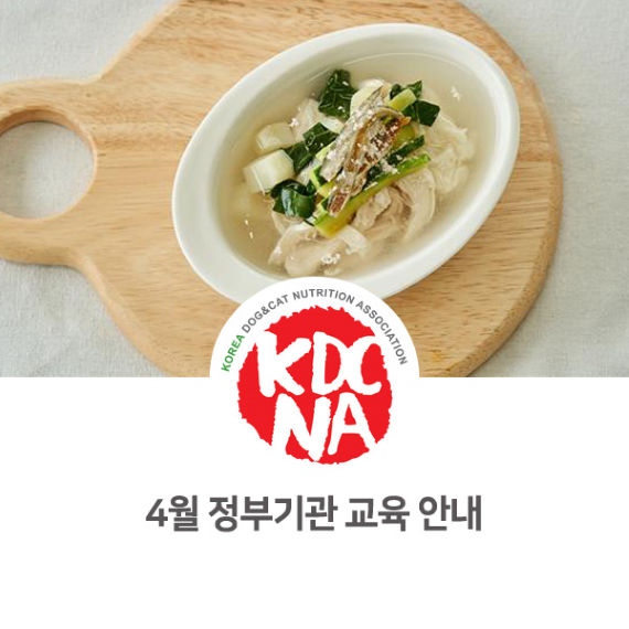  최수연펫푸드아카데미 4월 공공기관 교육 일정 안내 [한국반려동물영양협회/펫푸드자격증/강아지수제간식/고양이자연식/펫푸드학원/인천/부천/수원/성남/구리_1009]