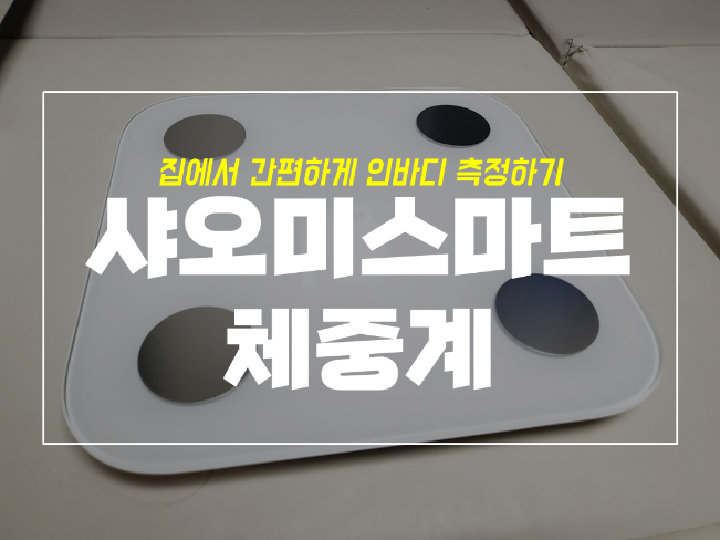  샤오미 인바디 체중계 미스케일, 앳플리보다 좋을까