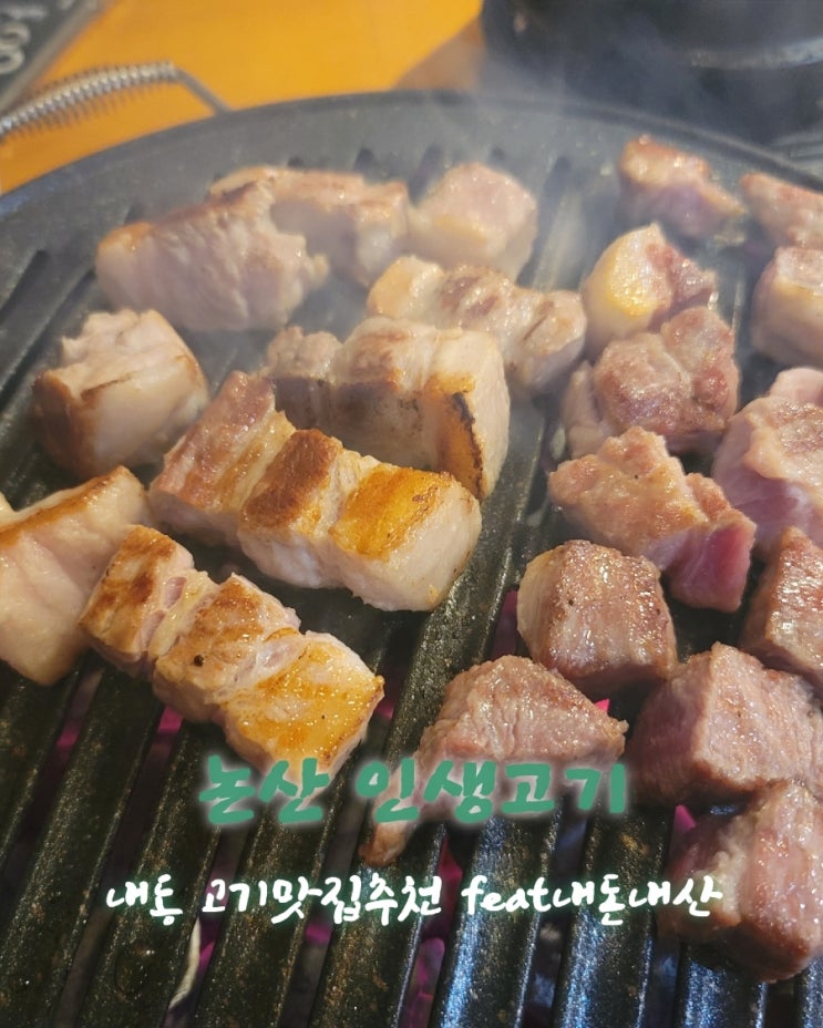  인생고기 [충남 논산 내동 고기맛집 feat내돈내산후기]