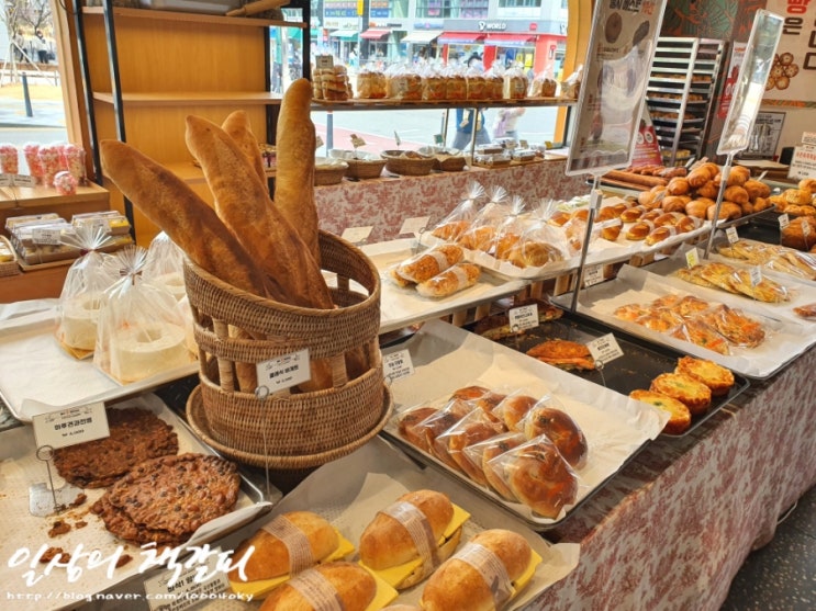 세종 다정동 베이커리 동네빵집 유명한 빵들을 한 곳에서 만나볼 수 있는 &lt;첼시베이커리&gt; 내돈내산 후기 :)