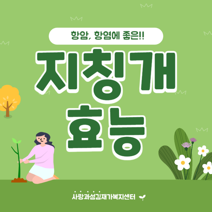 지칭개 효능 봄나물로 제격 부작용 없이 먹는 법 지칭개 효능 봄나물로 제격 부작용 없이 먹는 법