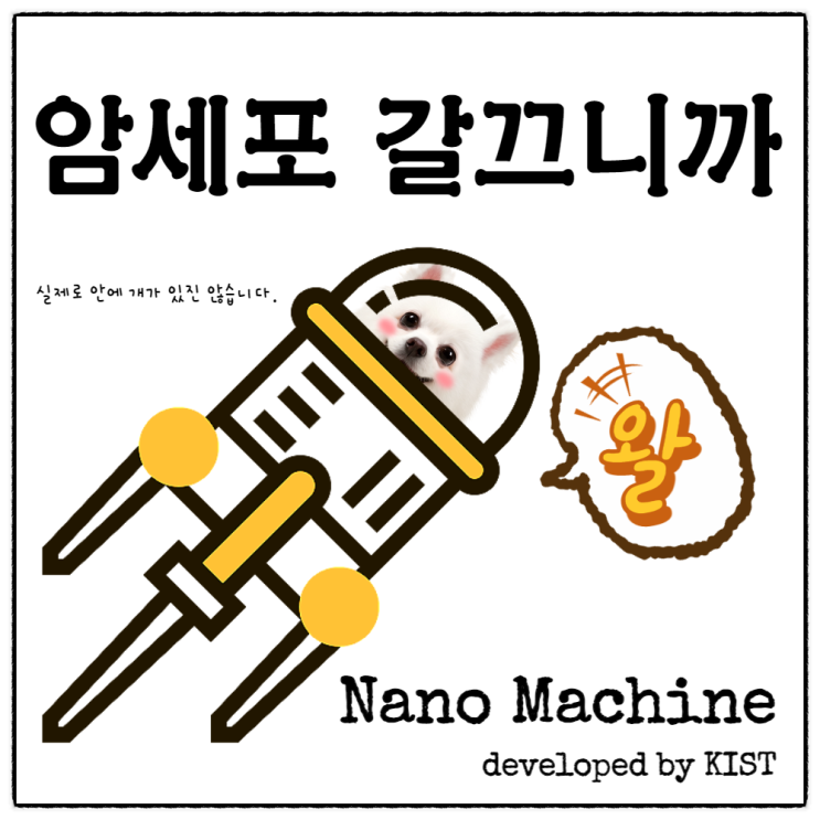  한국과학기술연구원(KIST), 팔색조 매력 가진 단백질로 나노머신 개발 : 암세포 세포막 파괴 & 엔도좀?