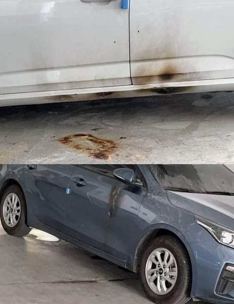  [사건사고]대구테이저건남성