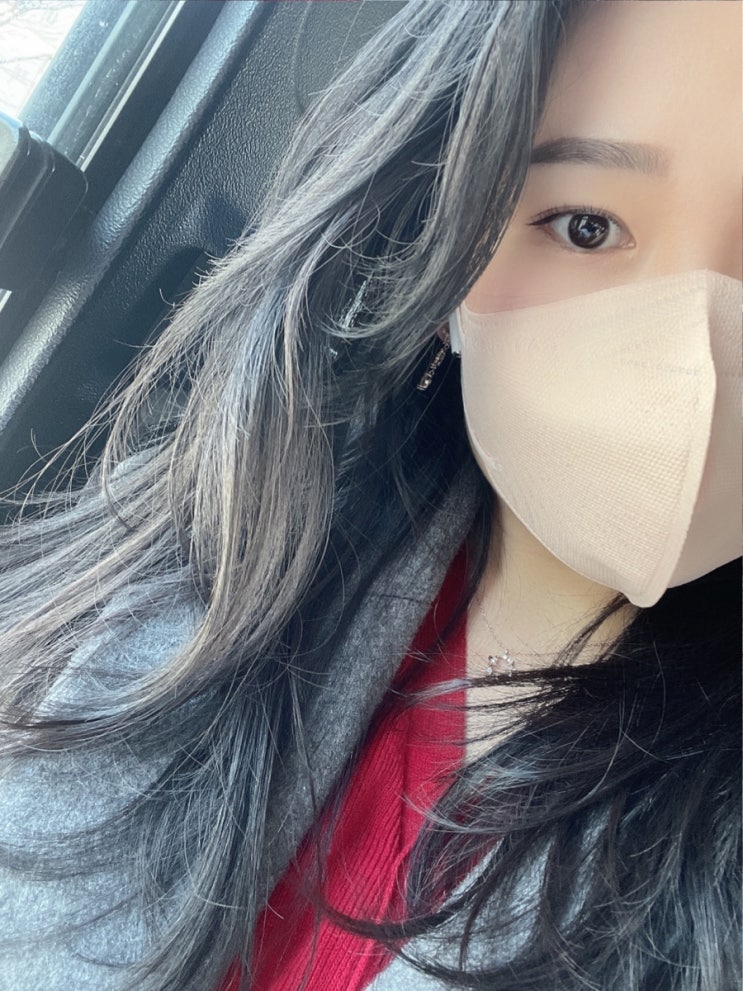  [애니가드] 나만의 퍼스널컬러, ‘애니가드 셋업 메베마스크’ 컬러별 후기