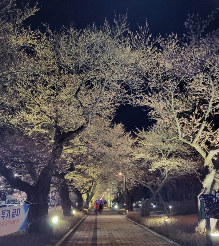  울산카페, 언양  "이너리트", "투칸" take out